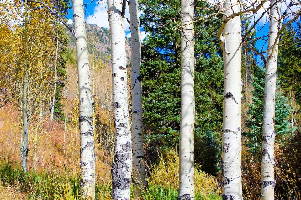 From Denver: Hike the Rockies Tour - Highlights of the Experience
