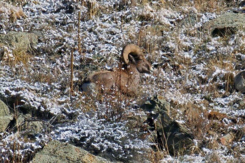 From Denver: Rocky Mountain Escape Tour - What Past Travelers Say