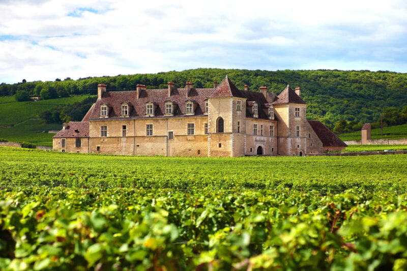 From Dijon: Côte De Nuits Wine-Tasting Tour - Itinerary and Experience