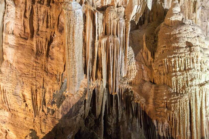 From Dong Hoi : Paradise and Phong Nha Caves Day Trip - Frequently Asked Questions