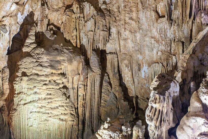 From Dong Hoi: Paradise and Phong Nha Caves Guided Tour - Key Points