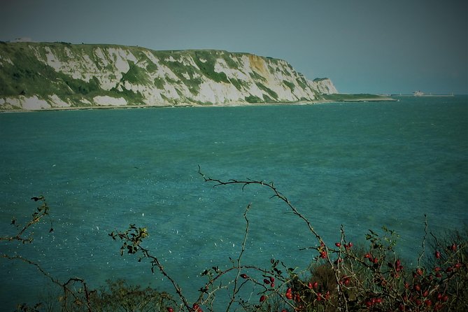 From Dover Cruise Ship; Grand Tour of White Cliffs Country & Back - Battle of Britain Memorial