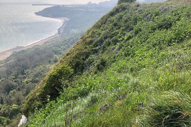 From Dover Cruise Ship; Grand Tour of White Cliffs Country & Back - Meeting and Pickup