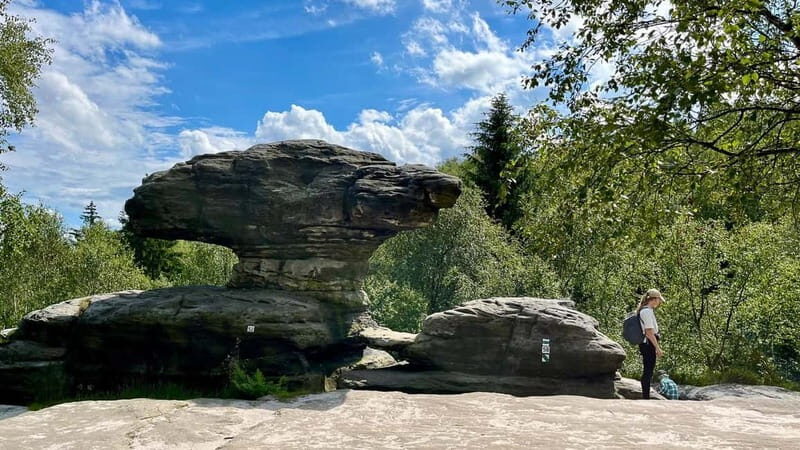 From Dresden: Bastei Bridge & Bohemian Switzerland Day Trip - A Detailed Look at the Tour Experience