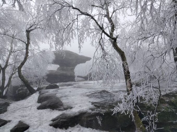 From Dresden: Bohemian & Saxon Switzerland Day Trip - Customer Reviews
