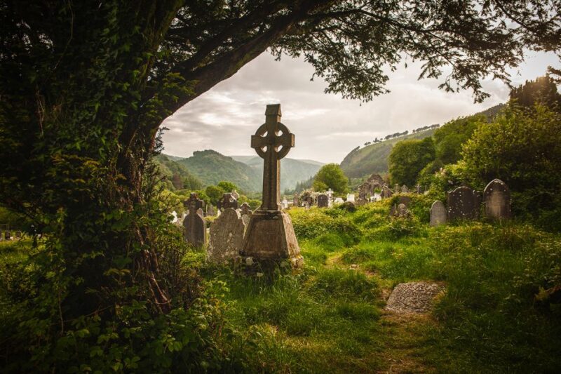 From Dublin: 3-Day Dingle, Killarney & the Wild Atlantic Way - Customer Experiences and Reviews