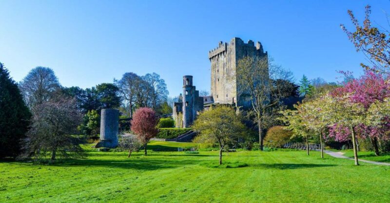 From Dublin: 4-Day Grand Atlantic Coastline Tour - Authentic Experiences and Traveler Insights