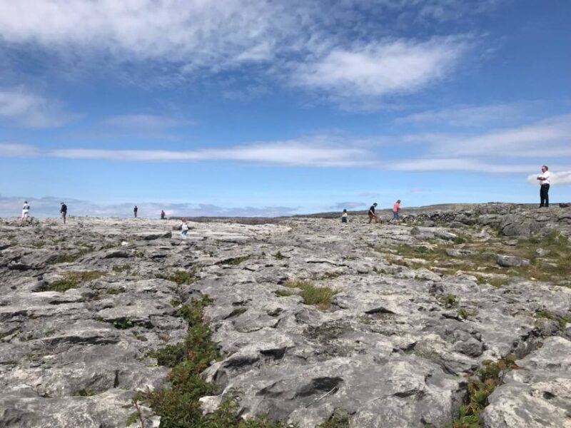 From Dublin: 4-Day Southern and Western Coast Tour - Final Thoughts