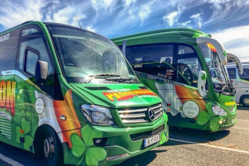 From Dublin: Connemara and Galway Full-Day Tour - An Intro to the Experience