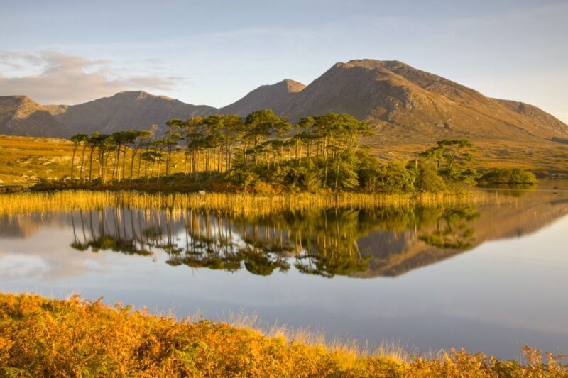 From Dublin: Connemara and Galway Full-Day Tour - The Tackle Points: Pros and Cons