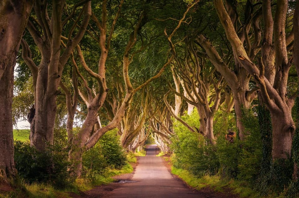 From Dublin: Giant's Causeway, Dark Hedge & Belfast Tour - Introduction