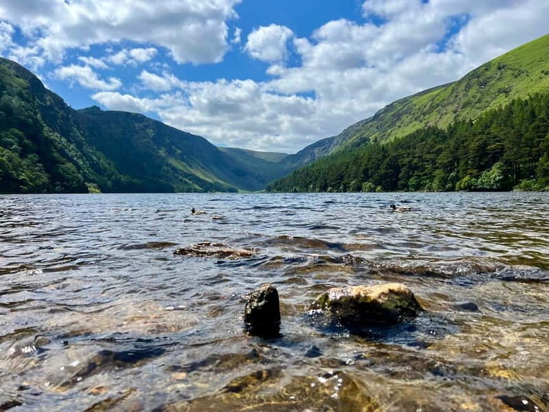 From Dublin: Wicklow, Glendalough, Waterfall & Sheepdog Demo - The Sum Up  