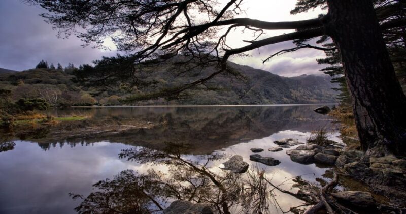 From Dublin: Wicklow Mountains, Glendalough, & Kilkenny Tour - Good To Know
