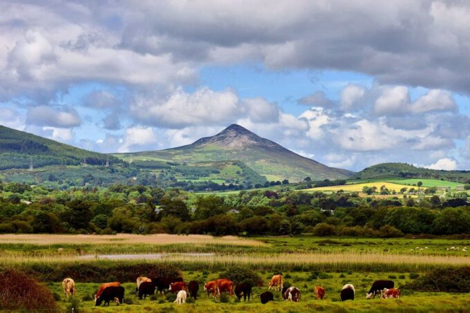 From Dublin: Wicklow Mountains, Glendalough & Kilkenny Tour - Booking Information
