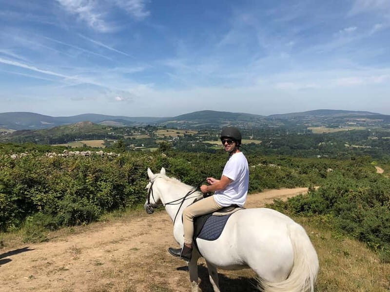 From Dublin: Wicklow, Powerscourt, and Glendalough Day Tour - Authentic Experiences & Traveler Feedback
