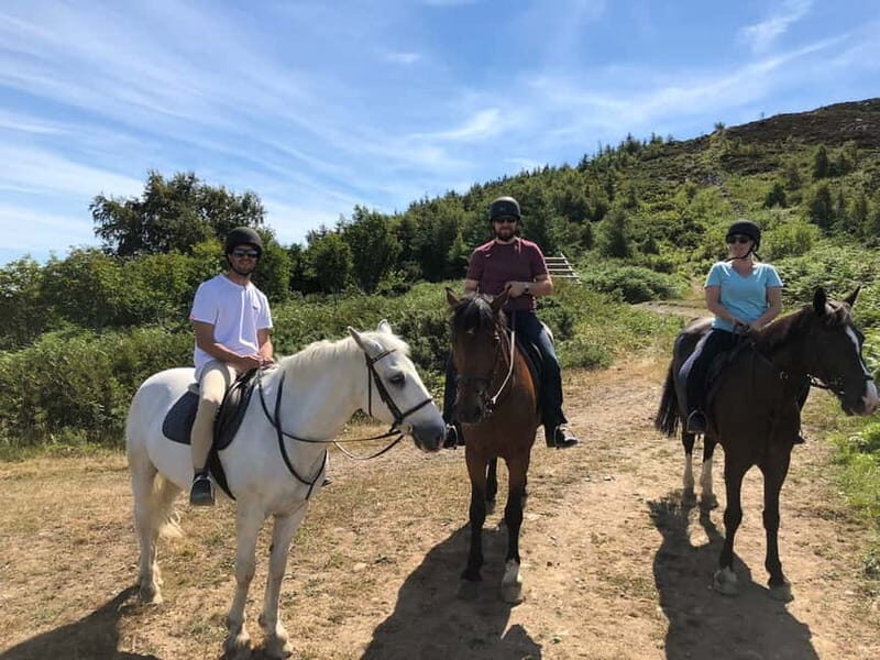 From Dublin: Wicklow, Powerscourt, and Glendalough Day Tour - FAQs