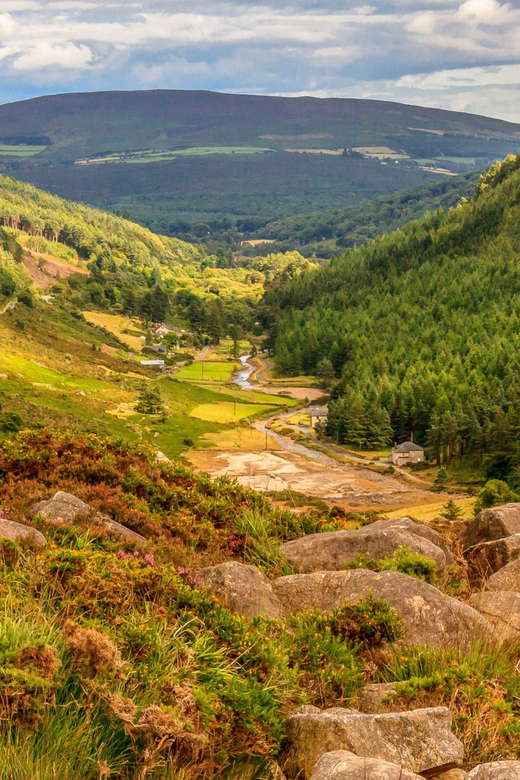 From Dublin: Wild Wicklow Mountains and Glendalough Tour - Experience and Activities
