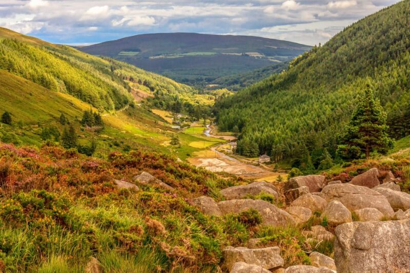 From Dublin: Wild Wicklow Mountains and Glendalough Tour - Customer Feedback and Ratings