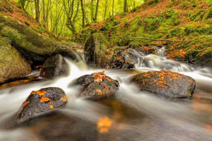 From Dublin: Wild Wicklow Mountains and Glendalough Tour - What to Bring