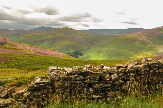 From Dublin: Wild Wicklow Mountains and Glendalough Tour - Booking Your Tour