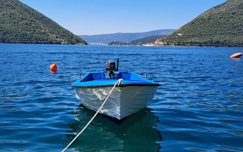 From Dubrovnik: Bay of Kotor Montenegro Private Tour - Final Thoughts