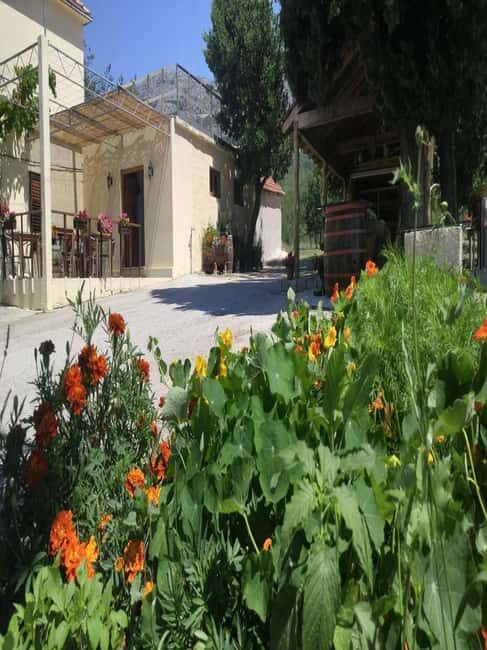 From Dubrovnik: Half-Day Wine Tasting and Cavtat City Tour - Who Will Love This Tour?