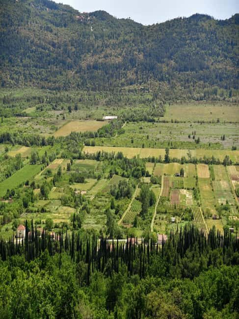 From Dubrovnik: Half-Day Wine Tasting and Cavtat City Tour - Final Thoughts