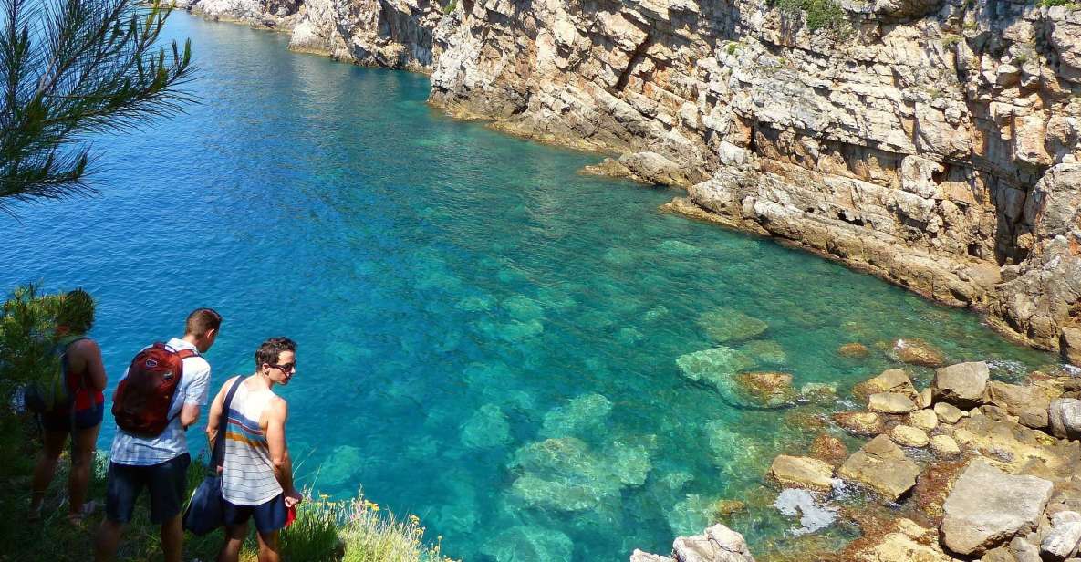From Dubrovnik: Hiking & Swimming on Koloep Island Day Trip - Authentic Reviews from Participants