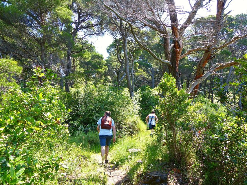 From Dubrovnik: Hiking & Swimming on Koloep Island Day Trip - The Sum Up: Is This Tour Right for You?
