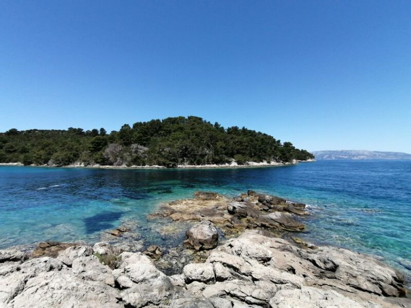 From Dubrovnik: Mljet National Park & Elaphiti Islands Trip - The Value and Overall Impression