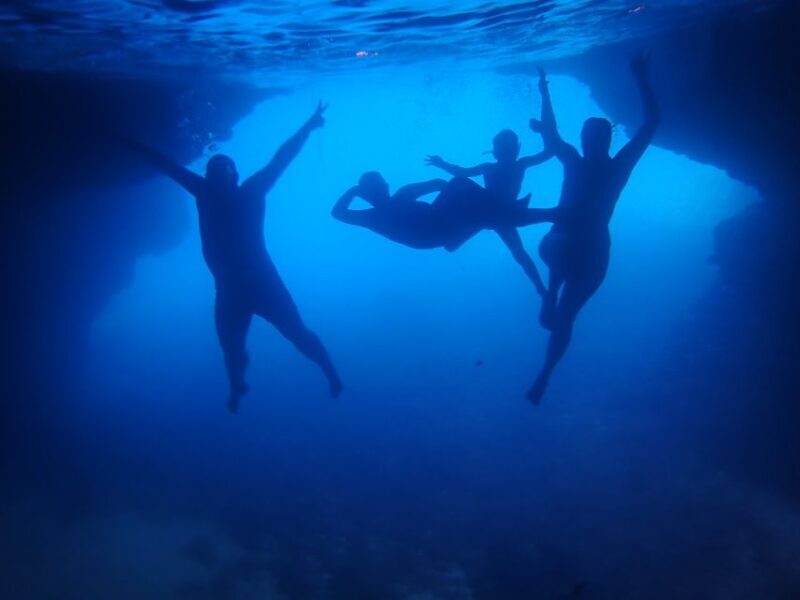 From Dubrovnik: Mljet National Park & Elaphiti Islands Trip - Final Thoughts