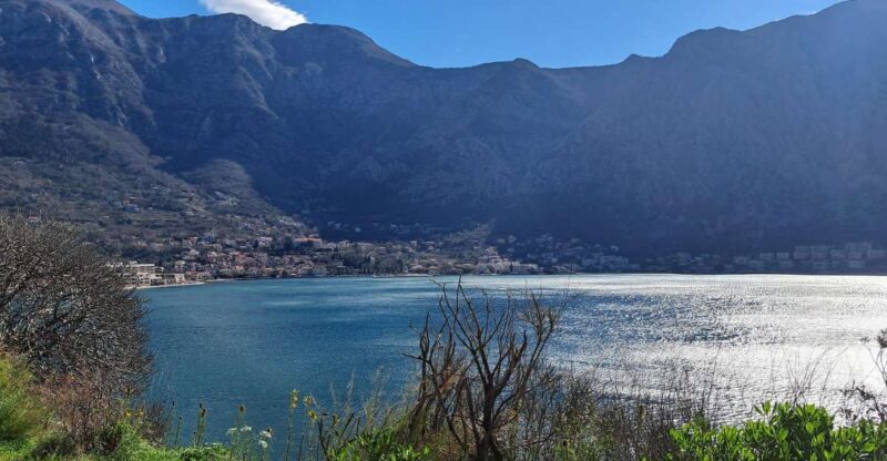 From Dubrovnik: Montenegro Full-Day Tour - Key Points  