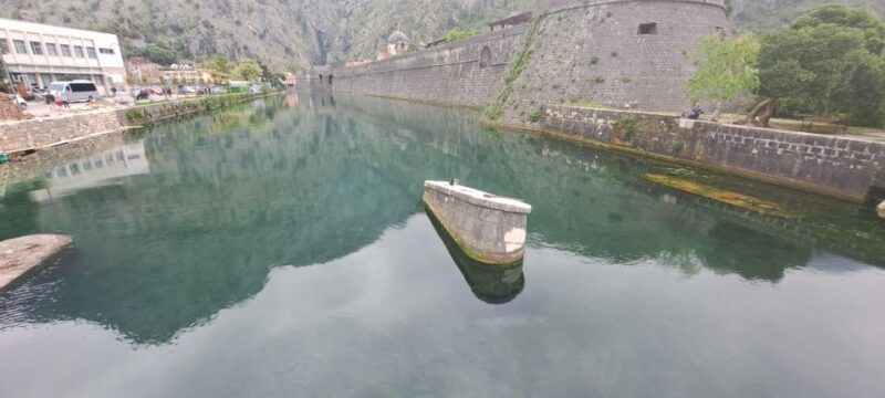 From Dubrovnik: Montenegro Private Tour - Authentic Experiences and Traveler Feedback