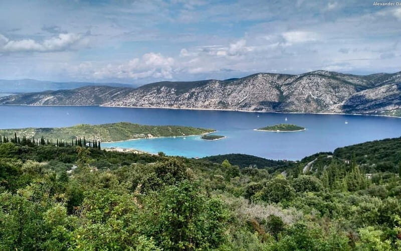 From Dubrovnik Oyster, Mussles, and Wine Tasting in Ston Bay - Who Should Consider This Tour?