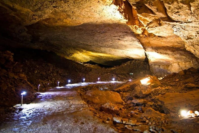 From Dubrovnik to Bosnia: Trsteno & Vjetrenica Cave Day Tour - An In-Depth Look at the Experience