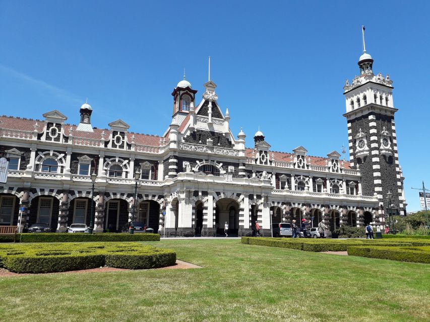 From Dunedin: City, Otago Peninsula & Albatross Guided Tour - Tour Itinerary