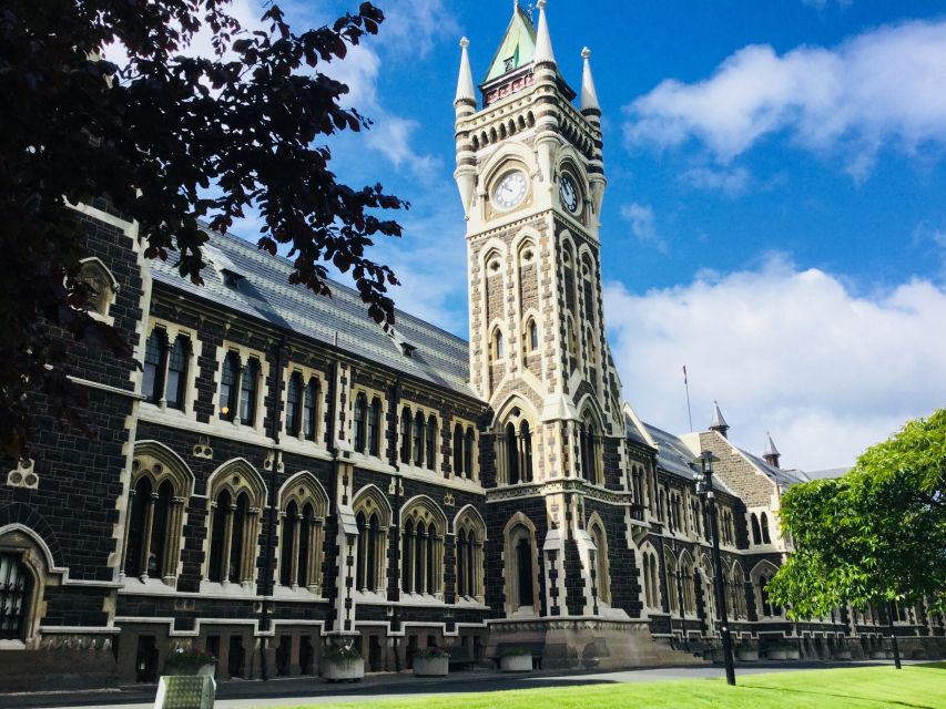 From Dunedin: City, Otago Peninsula & Albatross Guided Tour - Testimonials