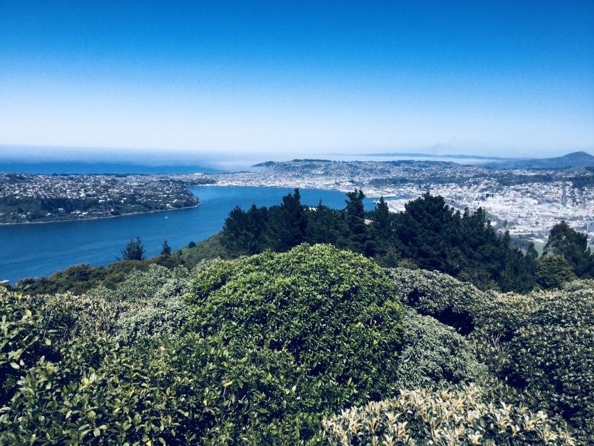 From Dunedin: City, Otago Peninsula & Albatross Guided Tour - Frequently Asked Questions