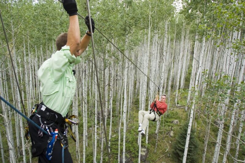 From Durango: All-Day Zipline Adventure with Train & Lunch - Who Will Love This Tour?