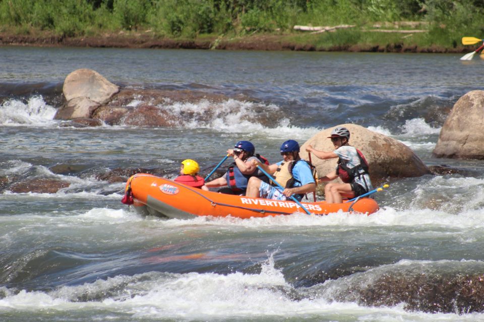 From Durango: Animas River Whitewater Rafting - Highlights of the Adventure