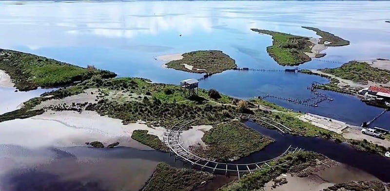 From Durrës: Albanian Riviera & Apollonia Tour with Meals - Authentic Experiences and Traveler Feedback