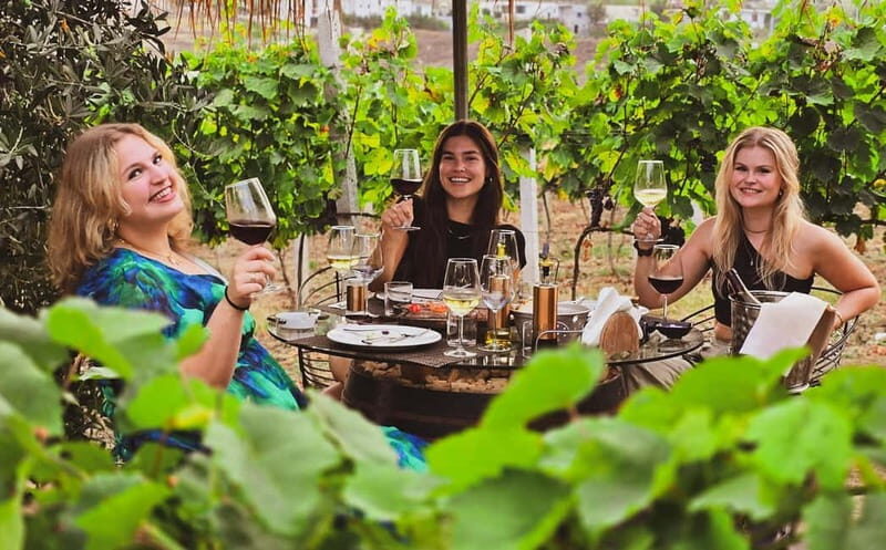 From Durres: Countryside Vineyards Wine & Food Tasting Tour - Key Points