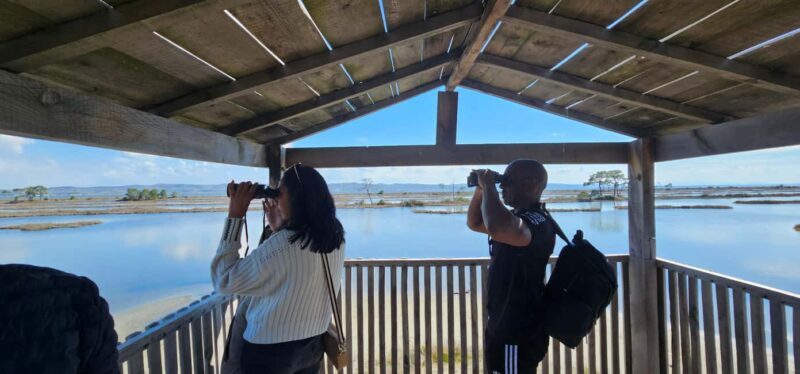 From Durrës: Divjakë-Karavasta National Park Day Trip - In-Depth Look at the Itinerary and Highlights