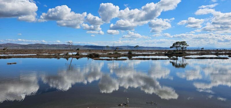 From Durrës: Divjakë-Karavasta National Park Day Trip - Detailed Analysis: Is This Tour Worth It?