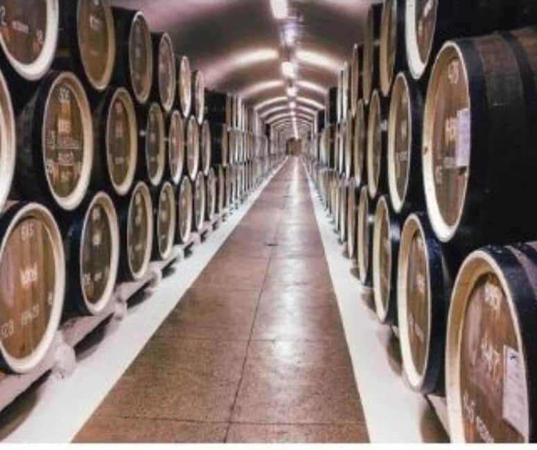 From Durres Golem: Cape of Rodon Castle & Wine Tasting Tour - The Sum Up