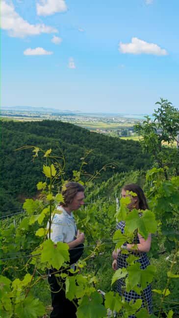 From Durrës/Golem: Vineyards, Wine Food Tasting & Boat Tour - Analyzing the Value