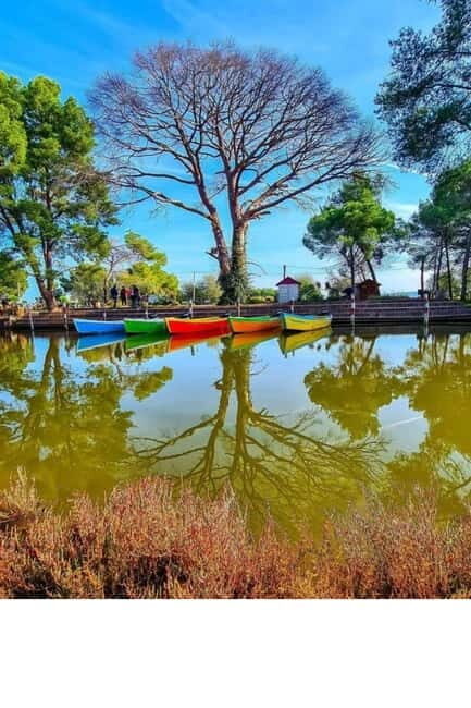 From Durres: Karavasta Lagoon & Apolonia Ancient City Tour - Who Should Consider This Tour?