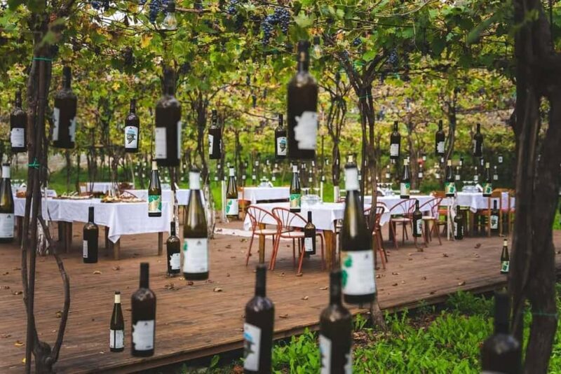 From Durrës: Wine Tasting at Alpeta Winery in Berat - An Introduction to the Tour Experience