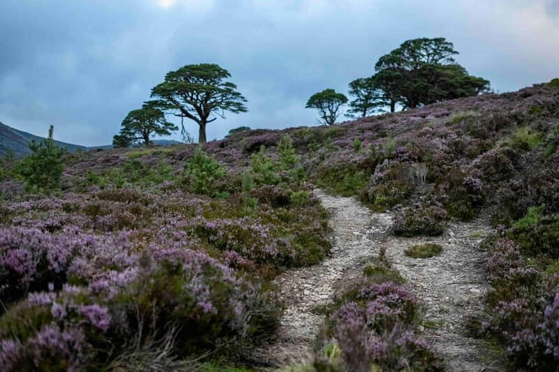 From Edinburgh: 4,000ft Mountain Hike - Scottish Highlands - Detailed Itinerary Breakdown  