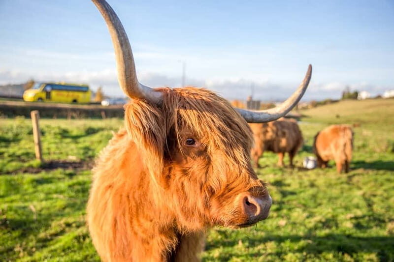From Edinburgh: Isle of Skye & Highlands 3-Day Guided Tour - The Sum Up: Who’s This Tour For?